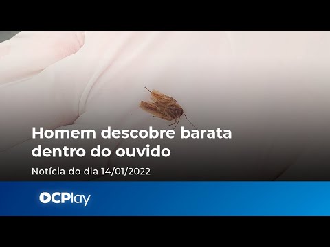 Homem descobre barata dentro do ouvido