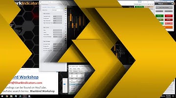 BlackBird Workshop - Placing an Entry Order Past the Order Book & Review of Buy/Sell Ask/Bid Buttons