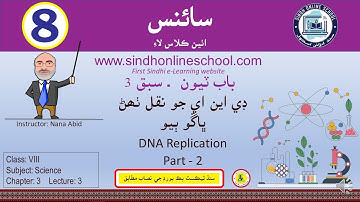 DNA Replication-2| Science Class 8| Chapter 3| Lecture 3| by Nana Abid| Sindh Online School