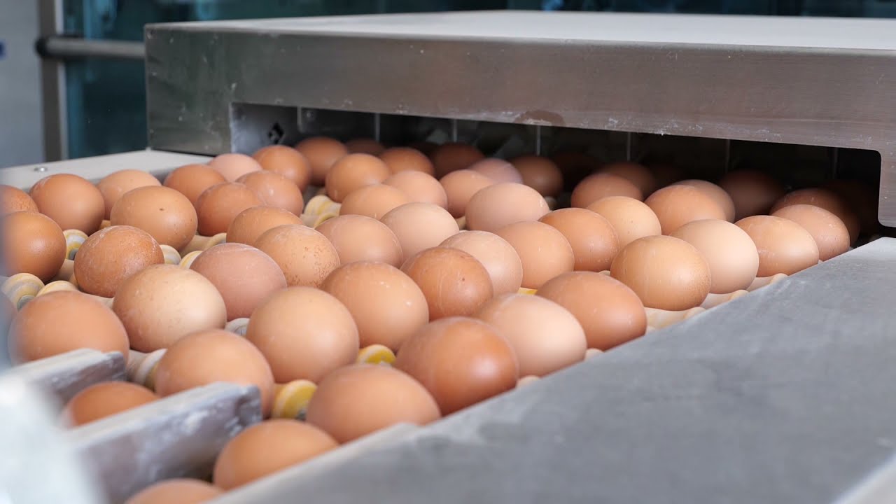 Eternit golfplaten op pluimveebedrijf Yverde