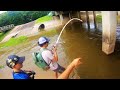 MONSTER CATFISH from a FLOODED CITY CREEK!!!