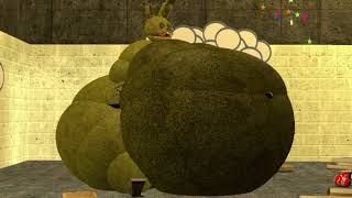 Springtraps Weight Gain