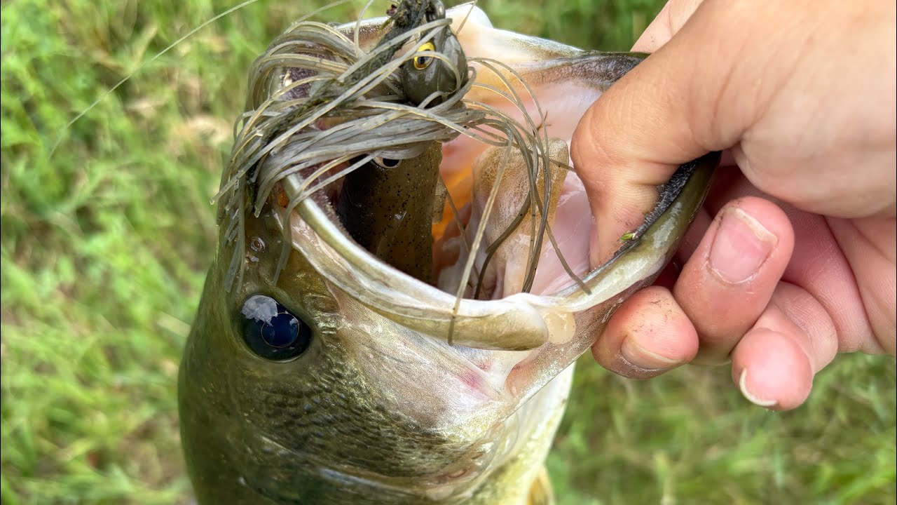Wisconsin Pond Bass Fishing