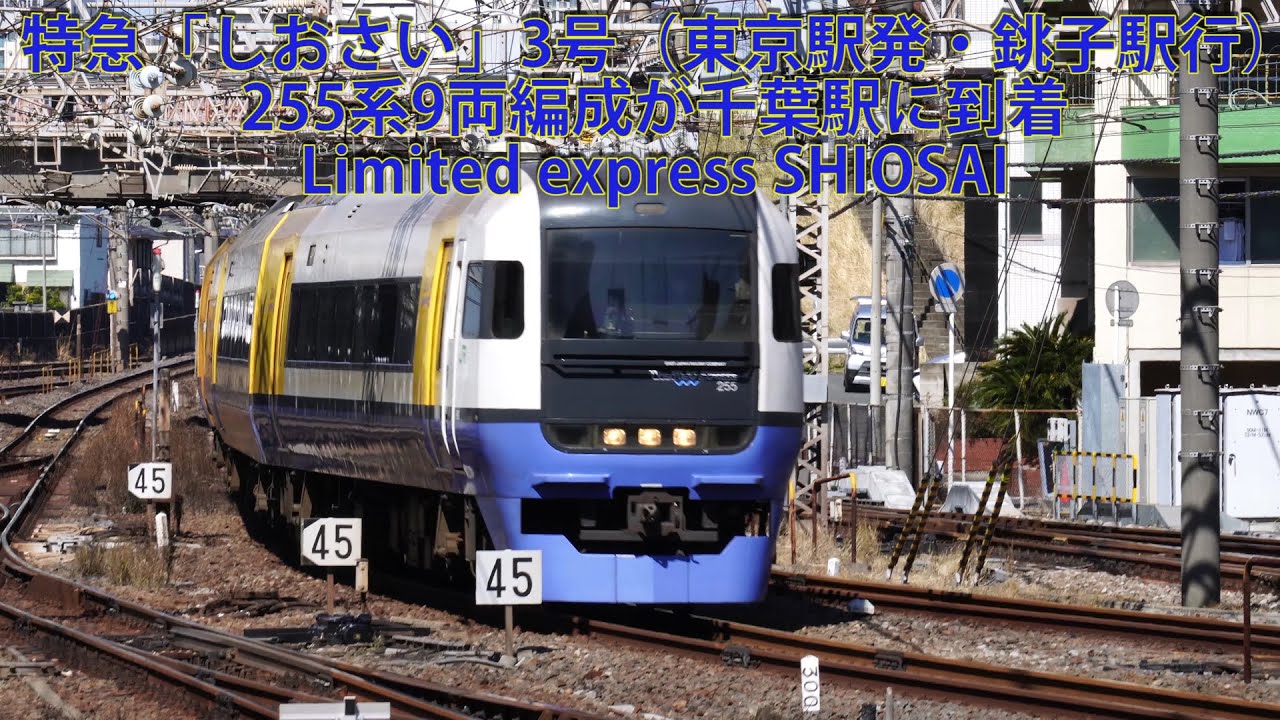 特急「しおさい」3号（東京駅発・銚子駅行）255系9両編成が千葉駅に