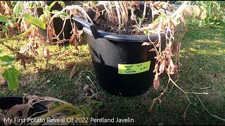 My First Potato Reveal Of 2022 #Pentland Javelin