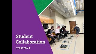 Module 5 - Strategy 1 - Student Collaboration Net Worth
