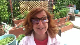 Famous Which One Doesn’t Belong Playing With Shapes Read Aloud. With Bubble Shapes Net Worth