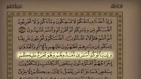 تلاوة خاشعة ومحبره للقارئ بدر العوفي #القران_الكريم