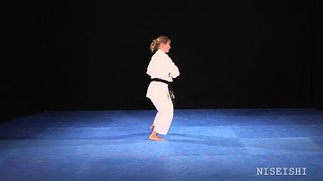 Shito Ryu Shukokai Niseishi Rear View