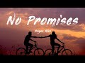 No Promises Bryan Rice Lyrics