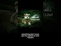 Where Am I Going In Life?