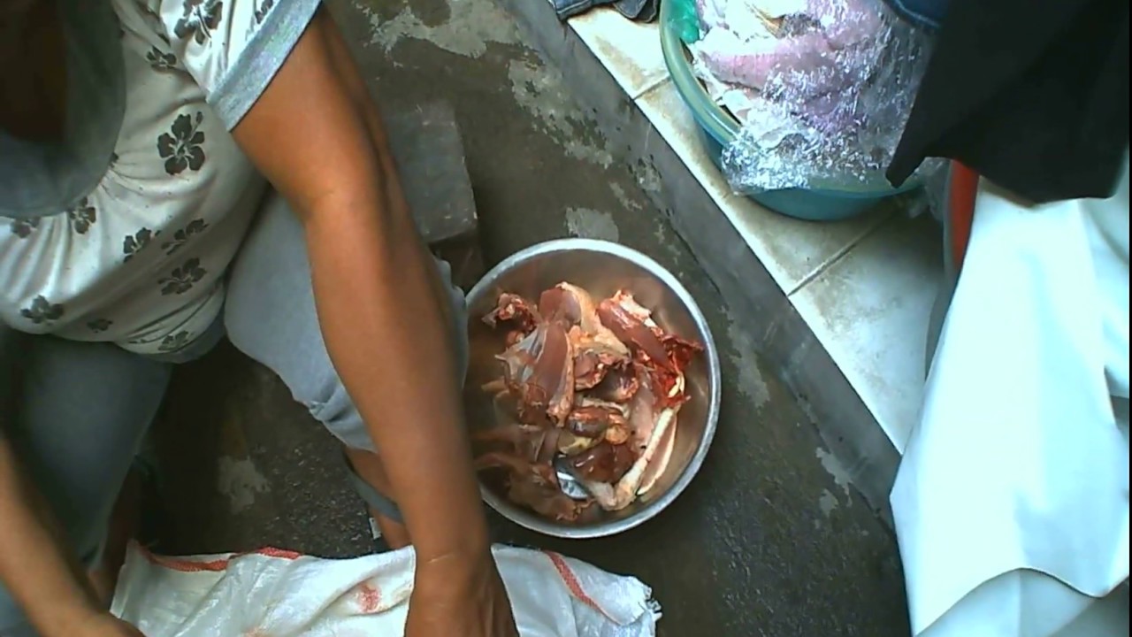 POTONG AYAM YANG BENAR (ADAT FLORES TIMUR) VIDEO 7 