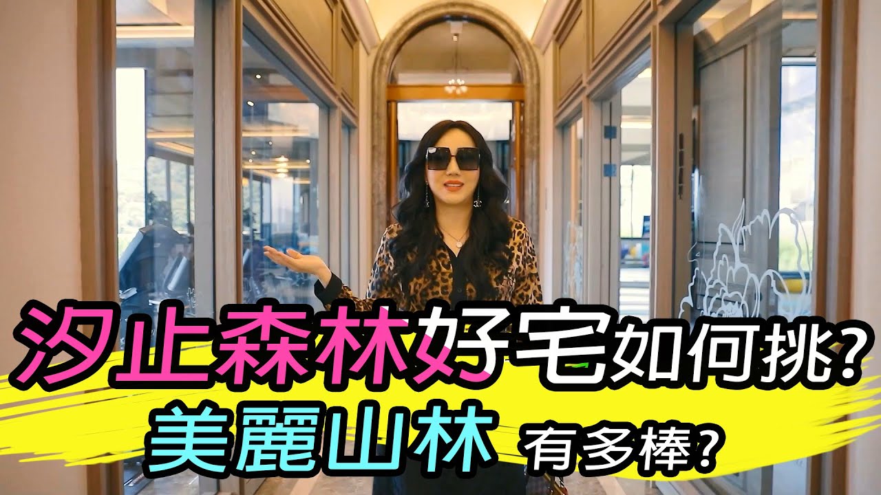 【東區嶸姐】汐止森林好宅如何挑？美麗山林可不可以買？地產一條龍