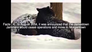 West Virginia Black Bears Top  #7 Facts