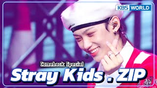 [Comeback Special #11] Stray Kids' Comeback Special :  Back Door to LALALALA | KBS WORLD TV
