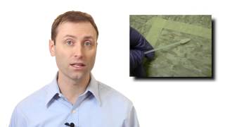 Bacteria Sampling