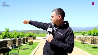Welcome to Robertson Valley, South Africa's home of Chardonnay