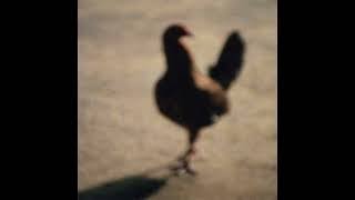 Download Lagu Clover Sun 7 Vera Lee MP3