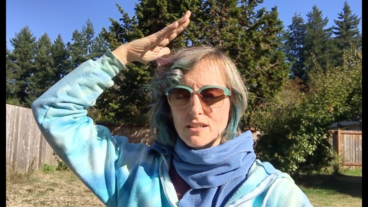 Recap of Oct 13 Mini Triplet Group Energy Healing- Self-Healing Potential