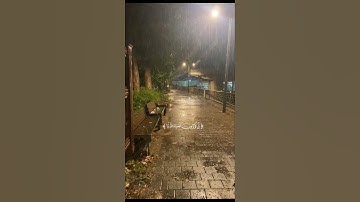 سورة الاعلى[ بصوت القارئ عبد الرحمن مسعد (راحه نفسيه )
