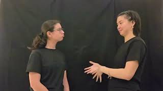 ASL Draft #2: Interview with Your Partner (after peer feedback)