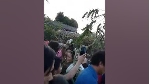 Hmoob lwm qaib tsiab peb caug