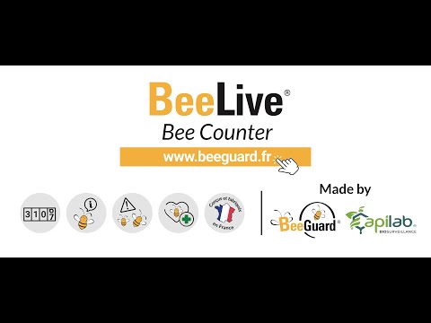 Beelive : bee counter