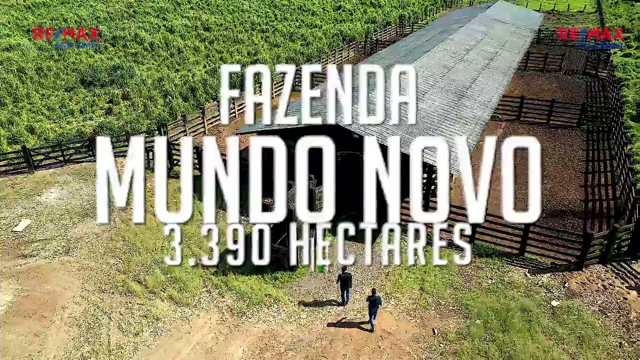 FAZENDA NOVO MUNDO - 3.390 Hectares - Altamira - Pará