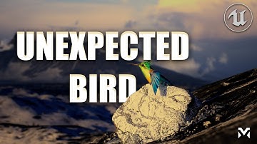 The Unexpected Bird | Unreal Engine 5 Short Movie