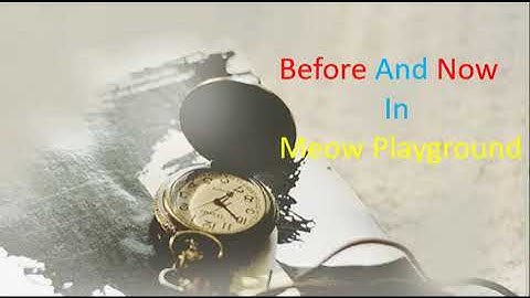 Before And Now In Meow Playground(#12)