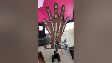 BME 2210 Final Sensor Project