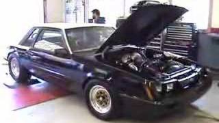 Turbo Mustang Dyno Pull