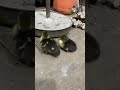 1 seal hen with 3 russion baby duck chicken #shorts