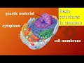 GED-Life Science- Chapter 1- Part 1