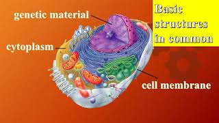 GED-Life Science- Chapter 1- Part 1