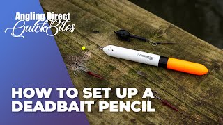 How To Set Up A Deadbait Pencil – Predator Fishing Quickbite