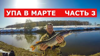 Упа в марте Ловля щуки Часть 3