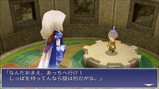 大特価！ ファイナルファンタジー FF Ⅳ セット レア有り 3Dリメイク版】51 ファイナルファンタジー4 FF4 レアアイテム