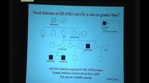 Prof Stephen “Autism and related neurodevelopmental disorders: so many genes involved” in 2nd IGMC