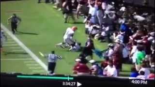2012 Texas A&M vs Florida BIG HIT!!!