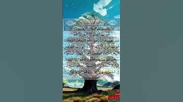 Surah Al hashr-سورة الحشر#quran #shortvideo #surah #beautiful
