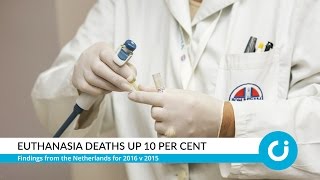 CI Bitesize: Euthanasia deaths up 10 per cent  in the Netherlands