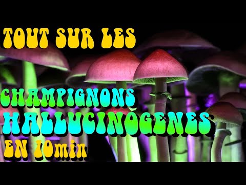 Vidéo: Ce que vous devez savoir sur les champignons dangereux