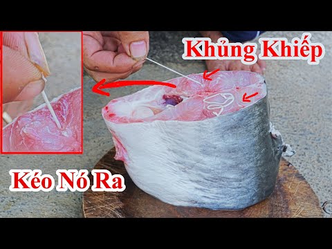 Video: Tại Sao Không Có Một Con Cá Trong Vườn?