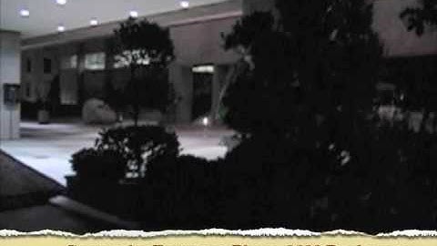 PULSE POINT - Linear Accelerator Grates