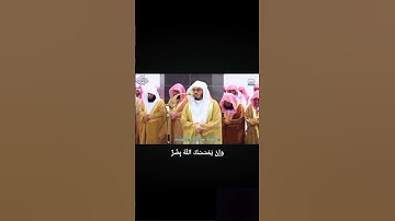 ٢.سورة الأنعام(18-16) #إبداع.ياسر.الدوسري