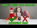 Don't Pick The Wrong Elf On The Shelf Mystery Box!