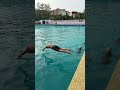 Deep water swimming # swimming technique for beginners