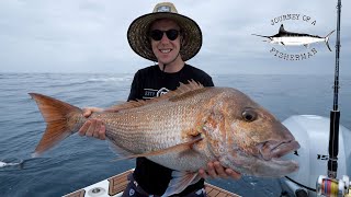 Madness at the Mokohinau Islands with the team from DB Export screenshot 5
