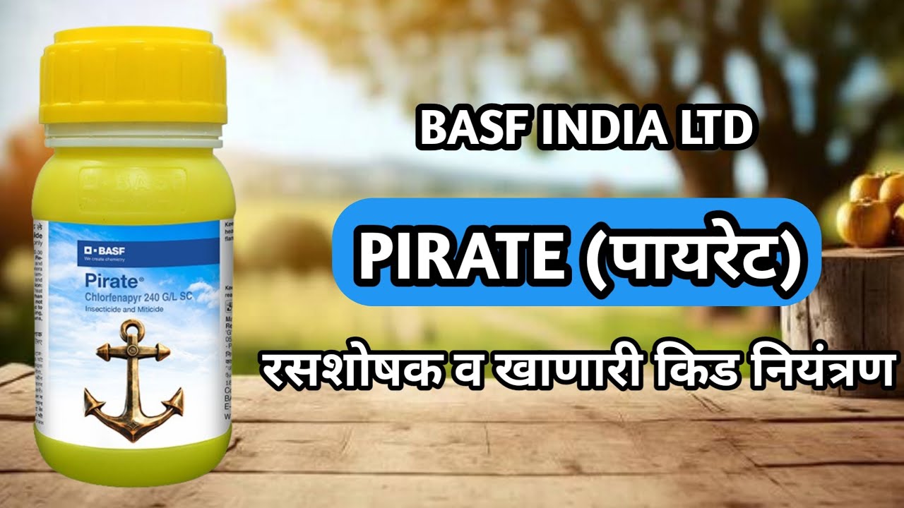 Basf pirate insecticide | Pirate insecticide | Basf new insecticide product